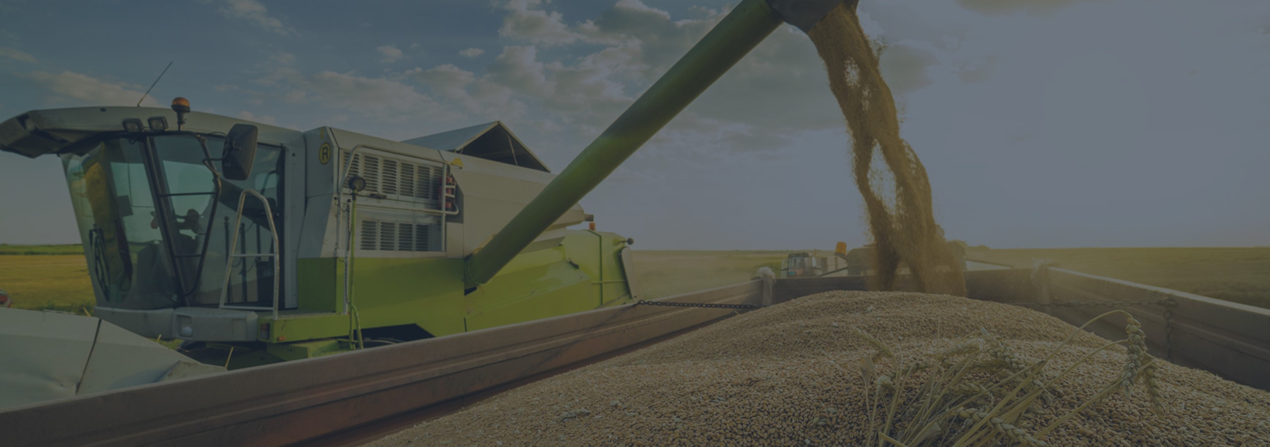 inar Grains and Oils Market Expectations H2 2023